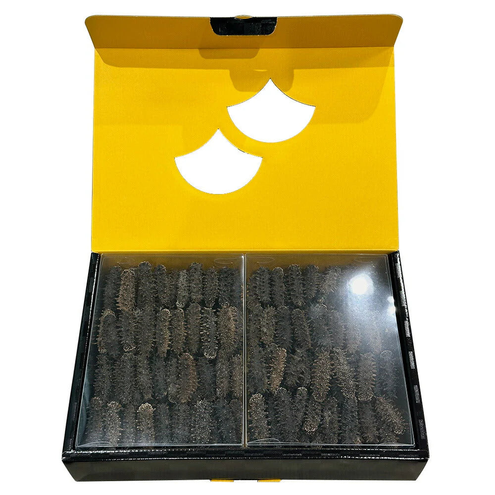 北海道産 干しなまこ 化粧箱 1kg 国産 高品質【送料込み】