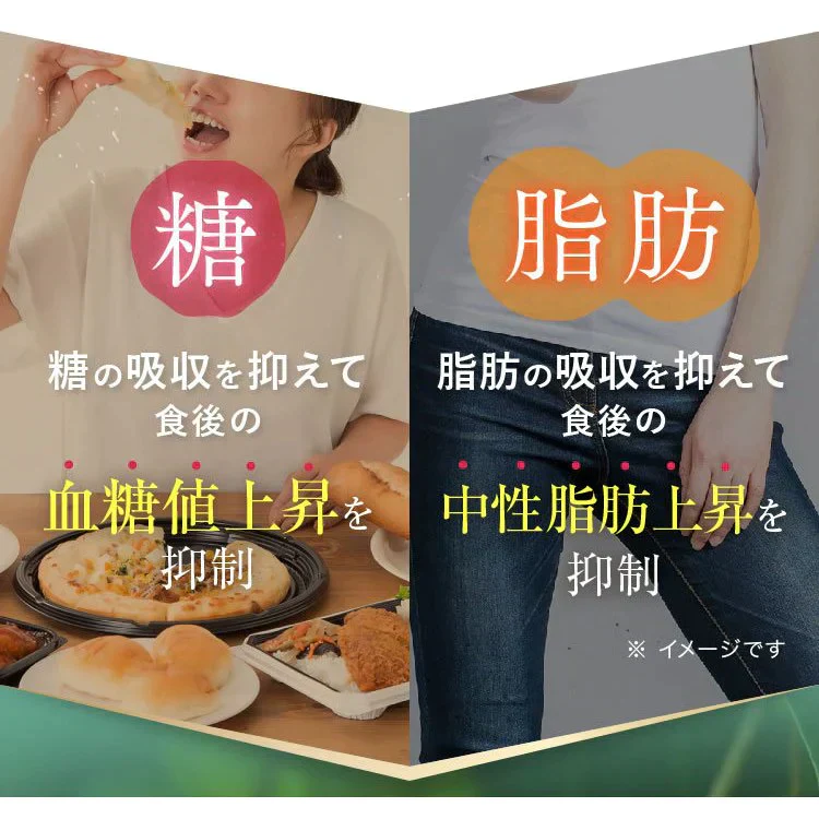 14日分（56粒）オサエルEX 食事に含まれる脂肪や糖の吸収を抑える　肥満気味な方の内臓脂肪とBMIを減らすのを助ける サプリ【MBH公式】