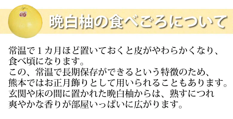 晩白柚 みかん ばんぺいゆ 訳あり 送料無料 約3kg〜4kg 2玉入 M〜2Lサイズ 世界最大級の柑橘 熊本県八代産 蜜柑 ミカン