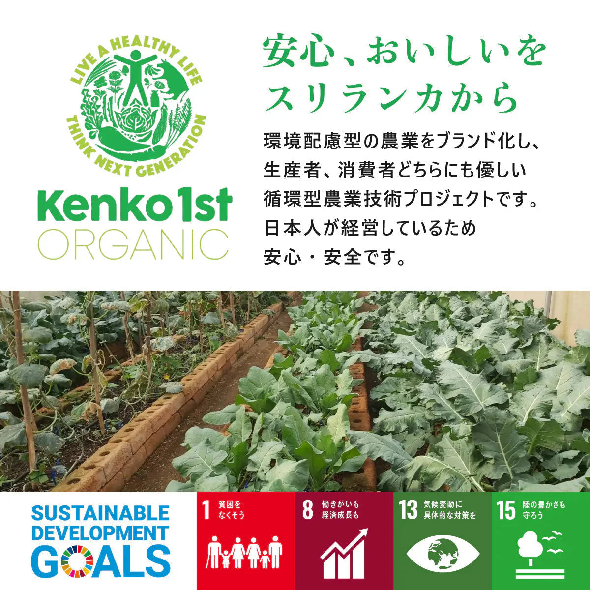 ドライバナナ バナナチップス 無添加 砂糖不使用 オーガニック 有機 100g 無農薬 オイル不使用 有機JAS認証 スリランカ セイロン バナナ ドライフルーツ 保存食 非常食 乾燥 健康 美容 おやつ お菓子 おつまみ 業務用