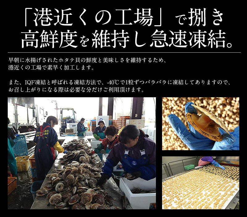 ホタテ 貝柱 1kg（約36〜40粒入り）ほたて 帆立［送料無料］ 冷凍ホタテ 肉厚 甘い ホタテ貝 ホタテ貝柱 冷凍 美味しい 1キロ 北海道 グルメ 海産物 海鮮 貝 お取り寄せグルメ 贈り物 母の日 プレゼント ギフト  母の日思いの 健康 実用的 父の日 子供 孫