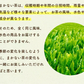【最短当日出荷】静岡県産緑茶 ティーライフのまかない茶 100個入