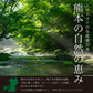 【１番早く届く！】【10月中旬頃〜12月末日までに発送】【予約】１番多い約450g！王道ミニトマト(280~300g+保証分150g)日本一の産地から農家直送 熊本県産 野菜 青果 フルーツ【カウシェファーム収穫対象商品】