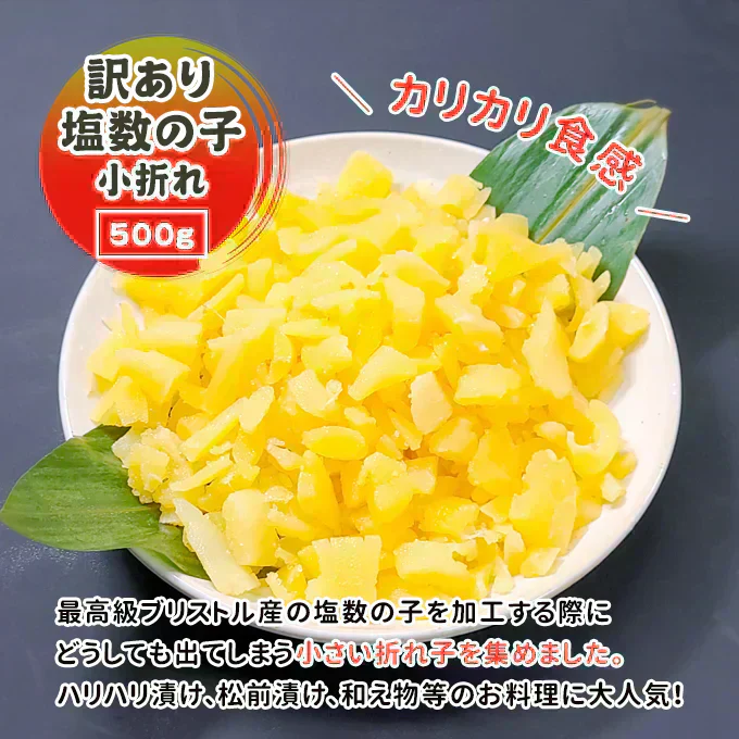 好評につき完売いたしました。2025年 新物！訳あり 塩 数の子 小折れ 500g 常温便 送料無料 規格外の訳あり品 極小 3cm未満の小さい折れ子 無選別 ネコポス ★数量限定