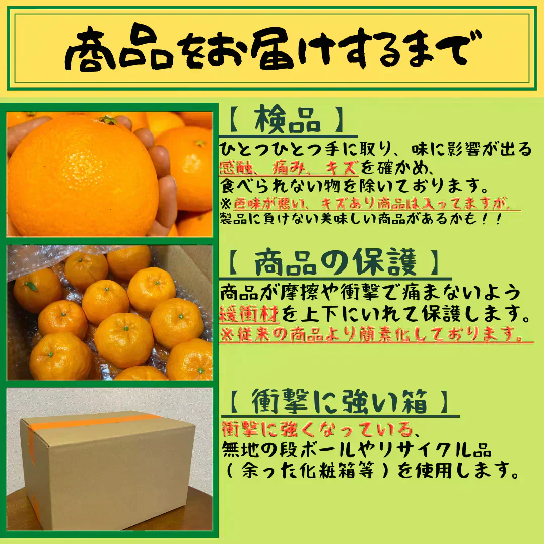 ご家庭用　愛媛県　お試し　甘平S～2Lサイズ　5kg