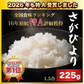 【お届けまで約3週間】《佐賀県産 さがびより》 225g 1.5合 16年連続食味特A受賞品種 お試し お米【カウシェファーム収穫対象商品】