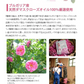 【リフレ 薔薇の滴 62粒×お得６袋セット】（約6ヶ月分）高級ダマスクローズオイル100％使用 薔薇の滴 ローズサプリ ばらのしずく バラの滴 フレグランスサプリ 吐息は薔薇 エチケット系サプリ 口臭予防 フレグランス サプリメント 栄養機能食品 ビタミンE サプリメント エチケット 口が臭い ブレスケア ローズ ダマスクローズオイル ブルガリア産 ローズサプリ バラのサプリメント