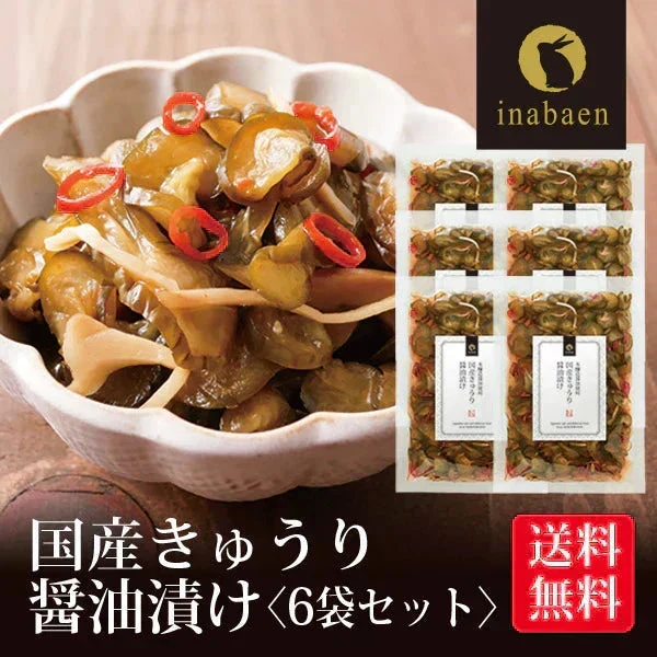 【6個セット】日本橋いなば園 国産きゅうり醤油漬け 100g メール便送料無料