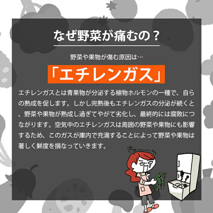 野菜長持ち BIOCERA 鮮度保持 鮮度長持ち 野菜保存 果物保存 繰り返し使える エコ 節約 食品ロスを減らす 冷蔵庫 野菜室
