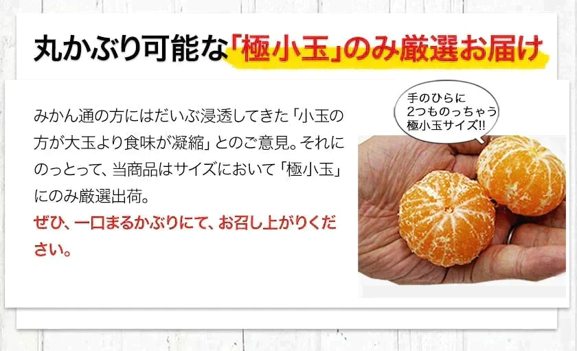 小玉 みかん 訳あり 送料無料 1.5kg 小粒 ミカン 柑橘 熊本 極早生 3s-sサイズ 家庭用 7-14営業日以内に出荷予定(土日祝除く)【ご新規さん限定商品】