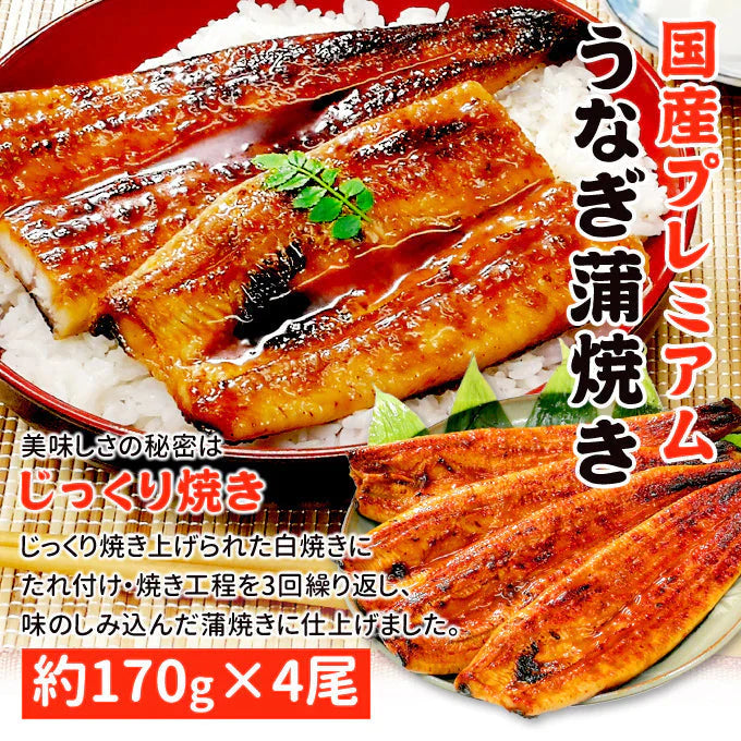 鹿児島産 新 国産 うなぎ蒲焼き 約170g×4尾 送料無料