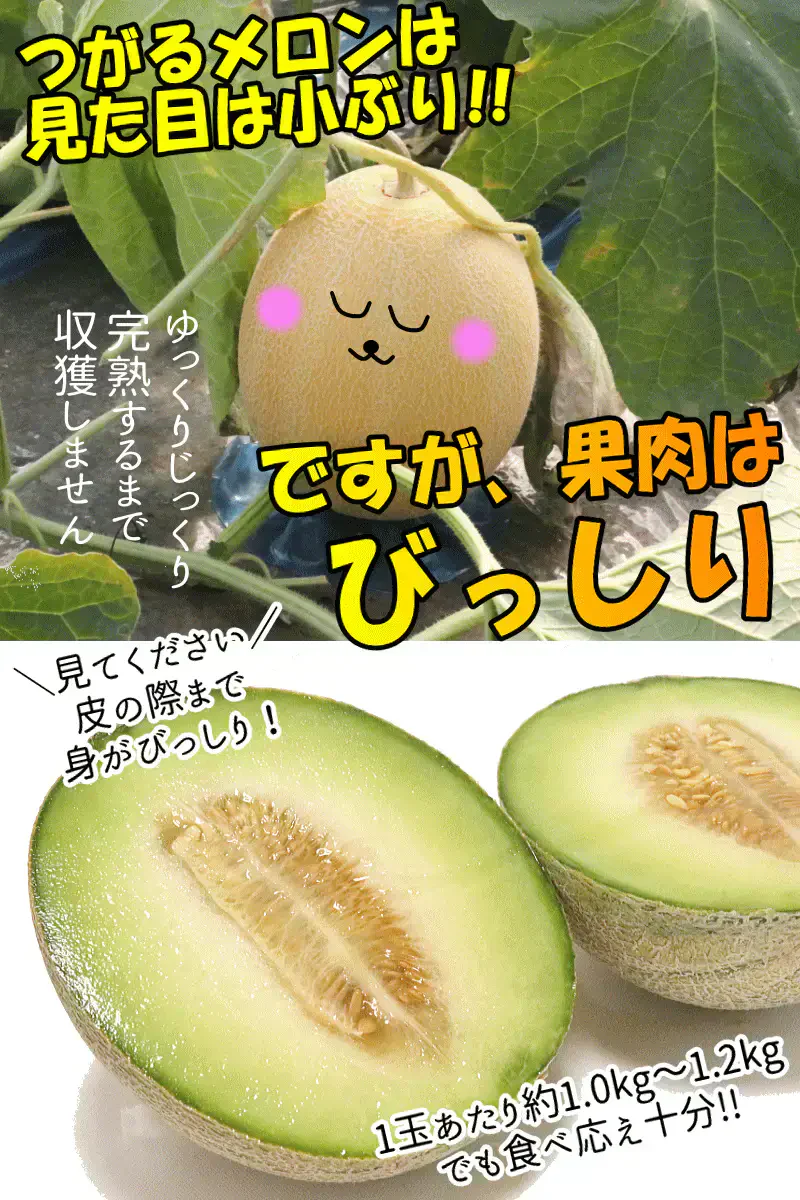 【冷蔵便】青森県産 つがるメロン 2玉(優～秀品 1玉約1.0kg～1.2kg×2玉入り)