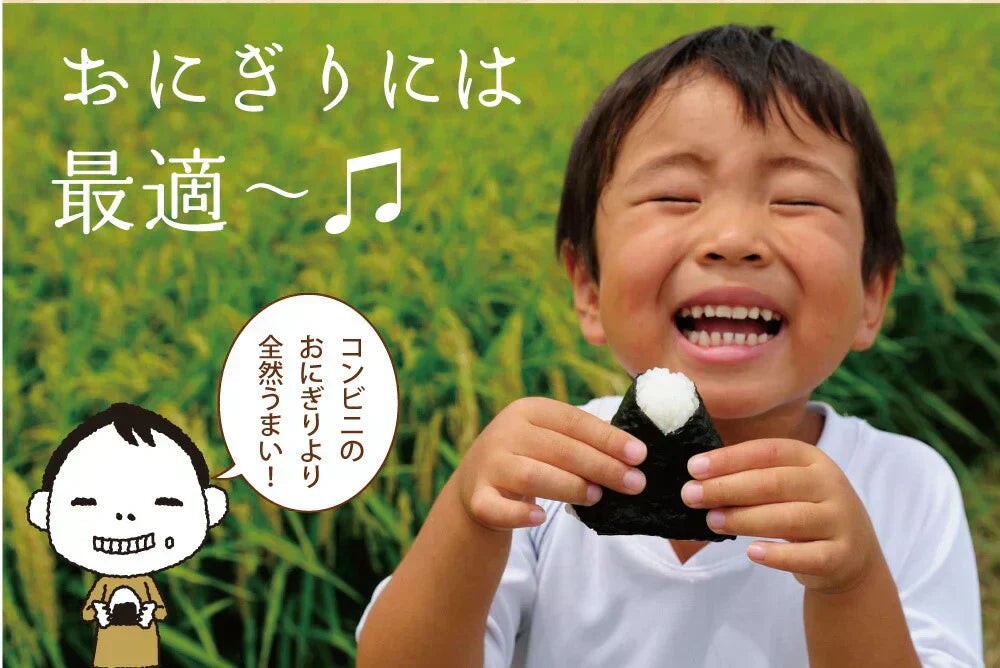 日本橋いなば園 有明海産 コンビニおにぎり海苔 25枚 メール便送料無料 焼海苔 パリパリ 焼きのり おにぎり おむすび海苔 葉酸 タウリン 焼き海苔 焼のり 茶匠庵 有明海苔