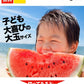 大玉 すいか  6kg以上 熊本県産 【6月中旬-7月上旬より出荷予定】 送料無料 スイカ 訳あり ジャンボスイカ   熊本 旬 の 果物 夏 キャンプ 家庭用 自家用 フルーツ 果物 甘い