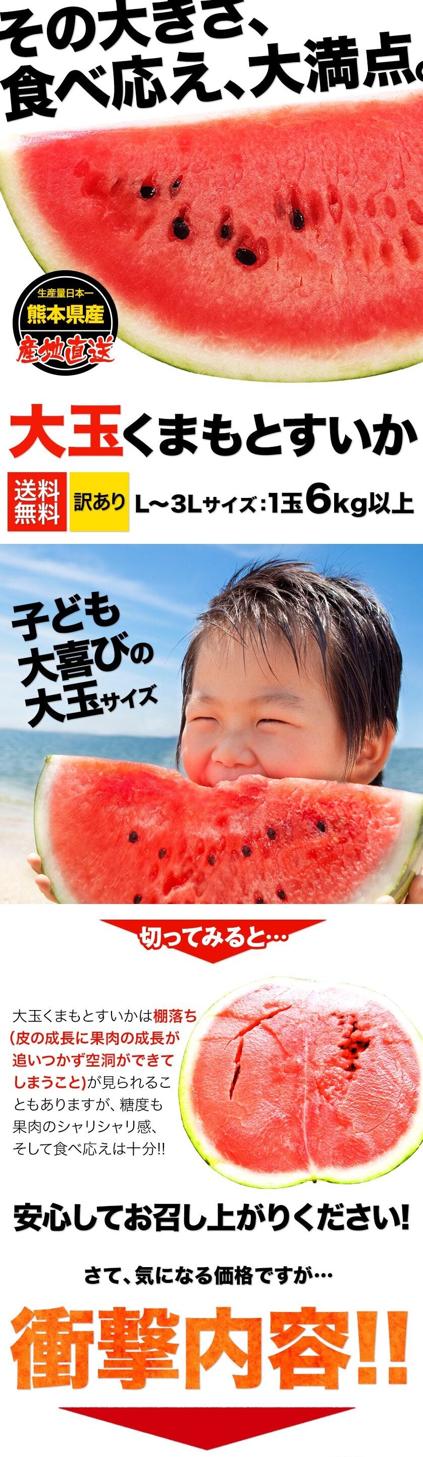 大玉 すいか  6kg以上 熊本県産 【6月中旬-7月上旬より出荷予定】 送料無料 スイカ 訳あり ジャンボスイカ   熊本 旬 の 果物 夏 キャンプ 家庭用 自家用 フルーツ 果物 甘い
