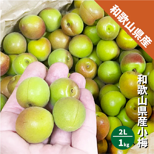 和歌山県産 小梅 2Lサイズ以上 約1kg 梅干し 紀州 白王 紀州 こうめ