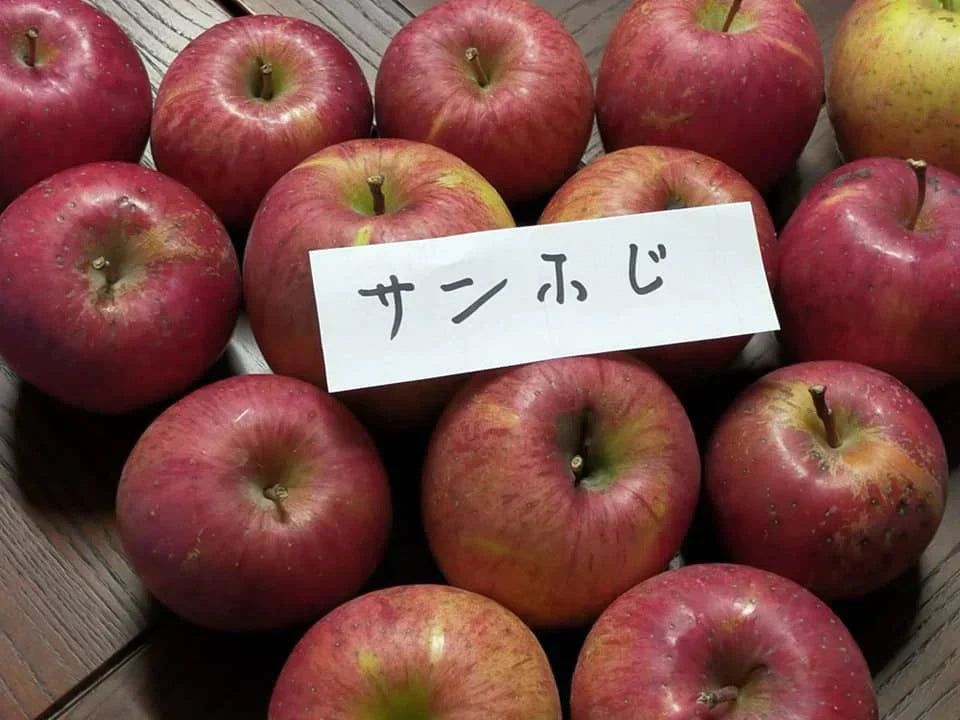 青森県産りんご サンふじ 果肉はややかたく、甘味があって酸味は少なめ 訳あり 1箱約2.5㎏ 小さめ（約10個～個体差により変動あり）佐川急便発送【6012】