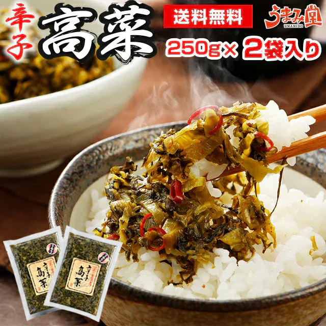 辛子高菜 250ｇ×2袋 送料無料 メール便 博多 福岡 帰省土産 旅行土産 おかず ご飯のお供 おつまみ お土産 ギフト ポイント消化