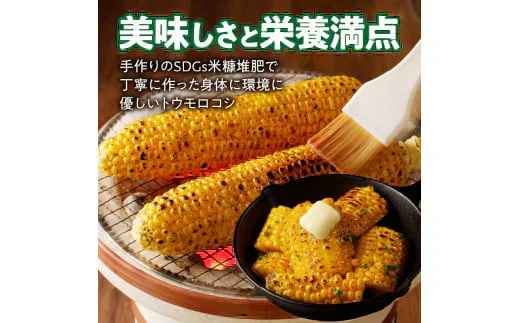 農家直送！メロンより甘い！博多あまっコーン4.5㎏【上部カット品】（約22本）（冷凍）