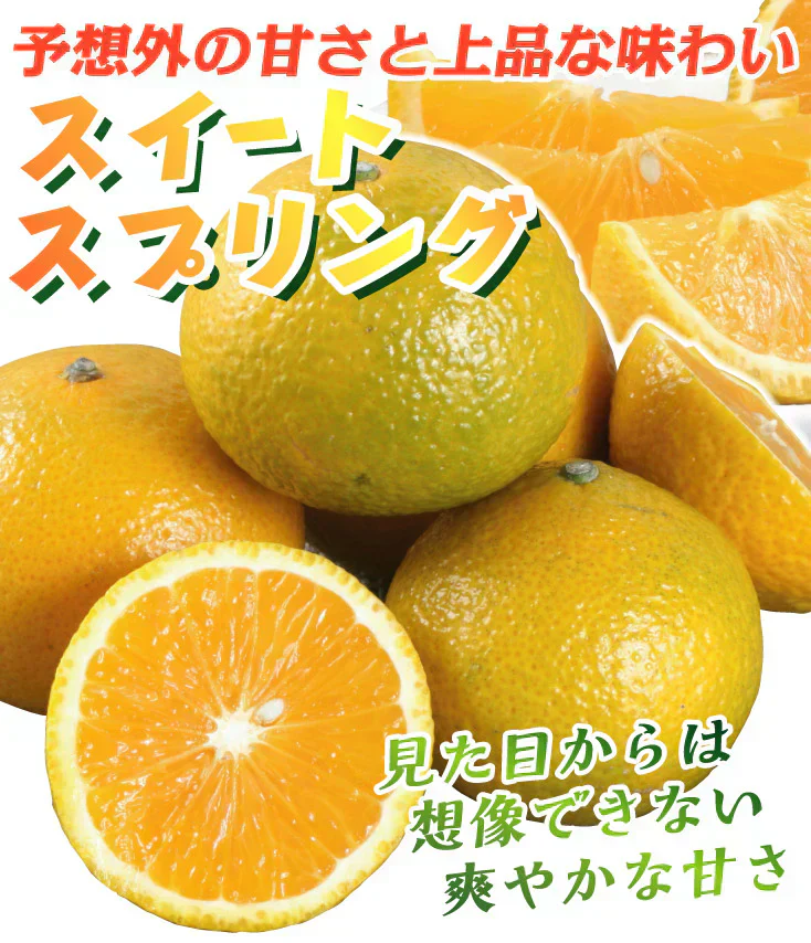 スイートスプリング　熊本産　みかん　10kg　ご家庭用