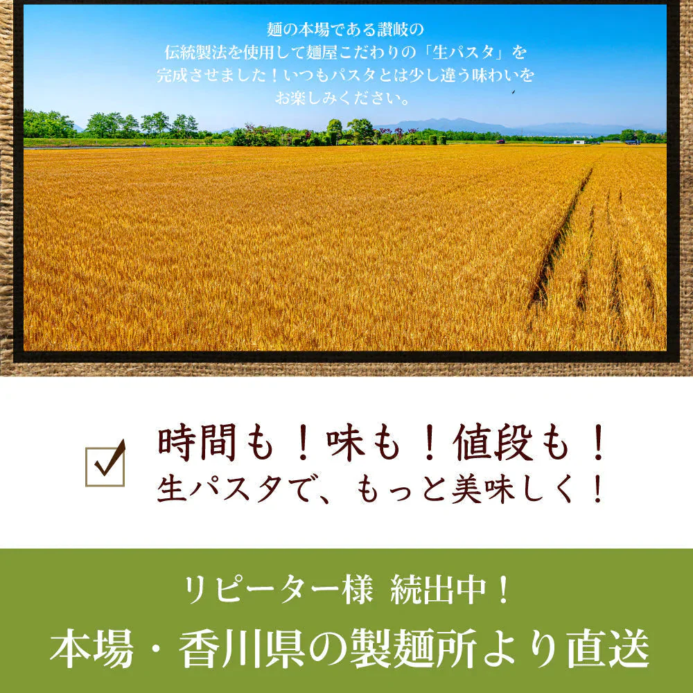 生パスタ 6食  [ フェットチーネ ] 送料無料 生麺 時短 本格  食品 お試し グルメ 麺屋どんまい【ゲリラセール】
