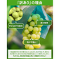 訳あり ぶどう 皮ごと食べられる シャインマスカット 約2kg 山形県産 ご自宅用 葡萄 【9月中旬頃より発送予定】 gr07