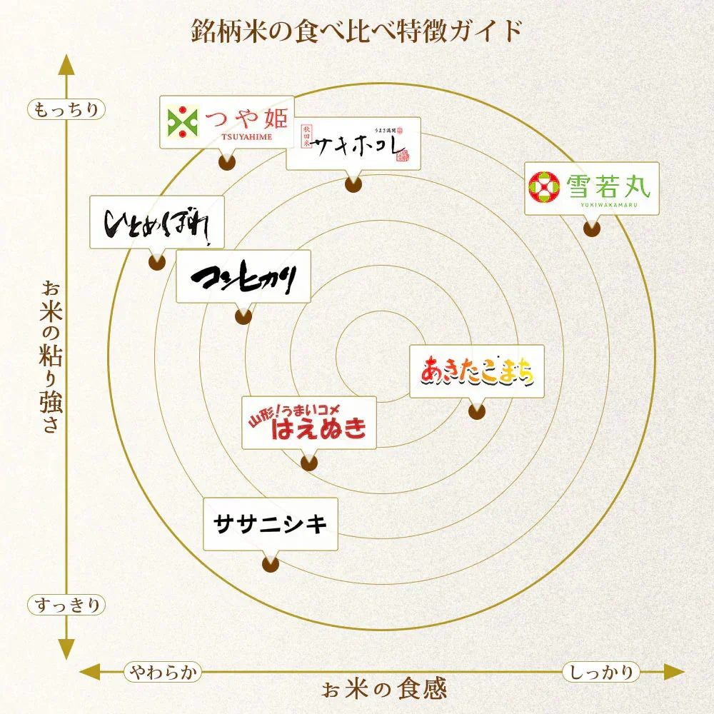 はえぬき 無洗米 10kg (5kg×2袋) 山形県産 令和7年産 送料無料 米 10キロ こめ コメ お米 精米 新米 お米10kg はえぬき10kg はえぬき10キロ