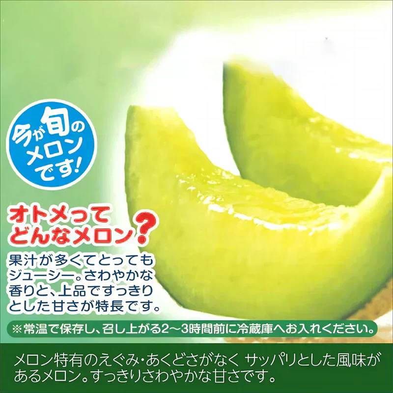 メロン 高級メロン 国産 旬のメロン 青肉 アンデスメロン オトメメロン イバラキング タカミ JA共選 特秀品 ２Lサイズ ０.８～０.９ｋｇ／玉 マスクメロン 大玉 お歳暮 御歳暮 おせいぼ 高級メロン めろん 甘い 絶品 高級フルーツ 果物 くだもの ご褒美 お供え お取り寄せフルーツ 美味しい
