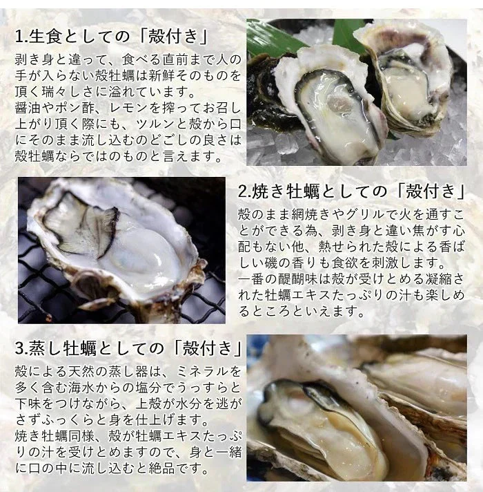 生食 OK カキみちのく 三陸産 殻付き 生牡蠣 10kg（60～100個） 今季初出し 希少 数量限定 送料無料 亜鉛の摂取源No.1 新鮮 石巻 宮城 産地直送 ミネラル アミノ酸 タウリン たっぷり 贈り物