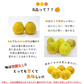河内晩柑 Ｂ級品 (9kg) ※中玉・大玉MIX　訳あり  晩柑 ご家庭用 箱買い B品 サイズミックス 柑橘 みかん フルーツ 果物 産地直送 愛媛県産
