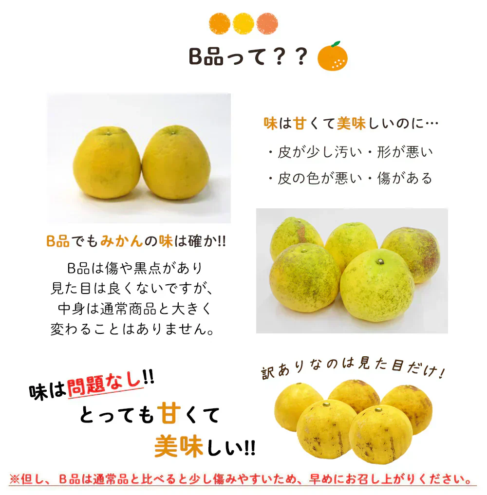 河内晩柑 Ｂ級品 (9kg) ※中玉・大玉MIX　訳あり  晩柑 ご家庭用 箱買い B品 サイズミックス 柑橘 みかん フルーツ 果物 産地直送 愛媛県産
