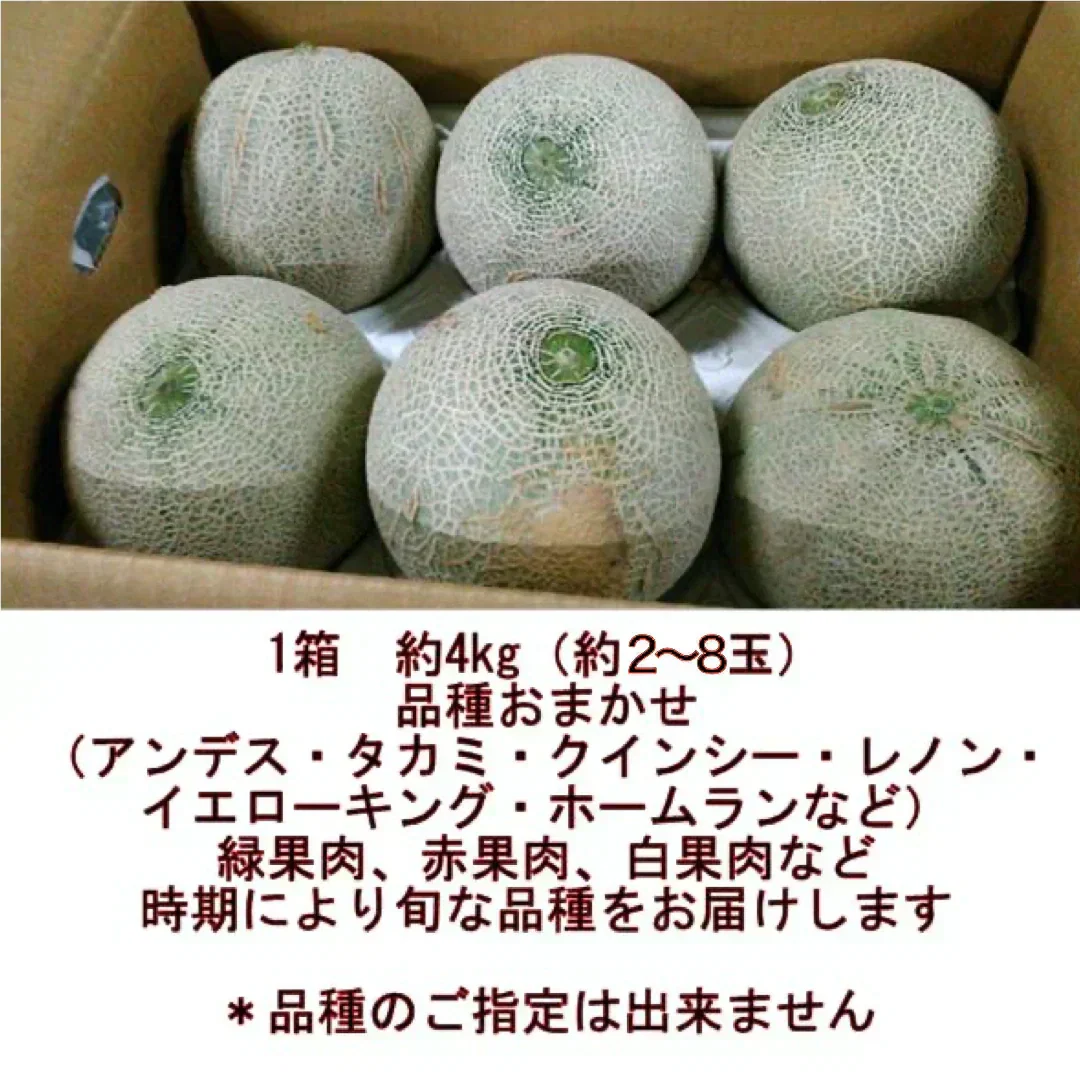 メロン 訳あり 約4kg (2～8玉) 品種おまかせ (アンデス・タカミ・肥後グリーン・クインシー・レノン・ホームラン・イエローキングなど) 熊本産