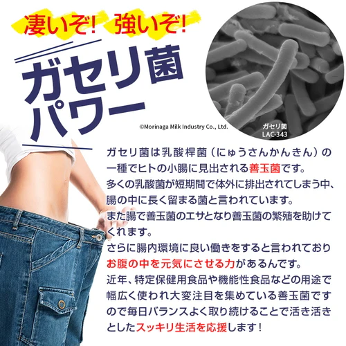 【ガセリ菌プレミアム 大容量 180粒】善玉菌 乳酸菌 腸活 菌活 プロバイオティクス タブレット スッキリ サプリメント 大容量 RoyalBS 日本製 ガセリ菌ヨーグルトよりもお手軽
