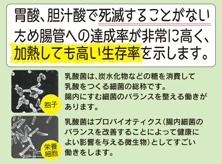 水溶性食物繊維＋生きてる乳酸菌パウダー500g／女王様のおすすめ！すごい食物せんい／芽胞乳酸菌までとれちゃいます。ぷるるん姫