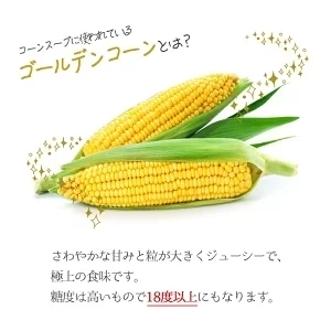 【北海道限定】北海道紋別産 ゴールドコーンポタージュ【1箱(4食入)】新千歳空港 お土産