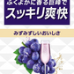 【送料無料】氷結 ストロング 巨峰スパークリング 500ml×2ケース/48本【北海道・沖縄県・東北・四国・九州地方は必ず送料がかかります】