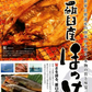 北海道羅臼産 ホッケ 干し具合・塩加減とも最高の開きほっけ大 5枚入り/ホッケ/干し魚/冷凍A