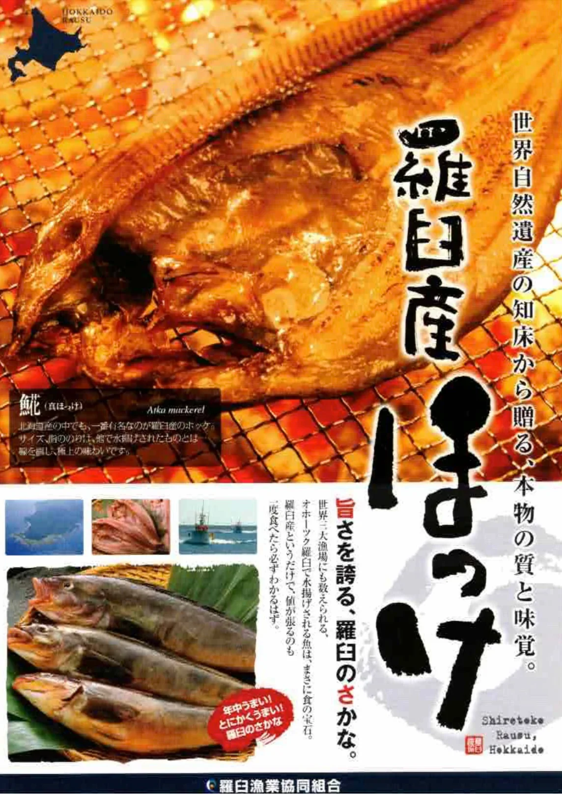 北海道羅臼産 ホッケ 干し具合・塩加減とも最高の開きほっけ大 5枚入り/ホッケ/干し魚/冷凍A