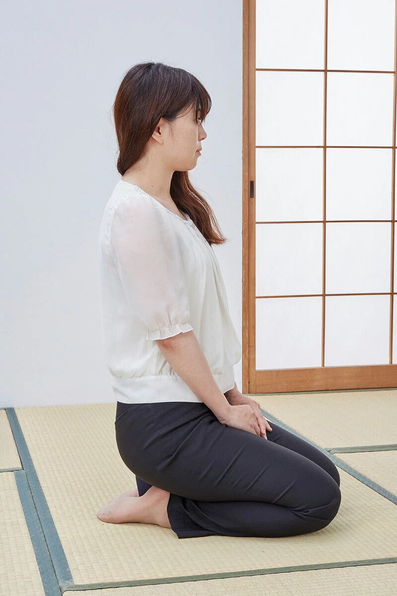 正座椅子 携帯用 折りたたみ シート 目立ちにくい 茶道 喪服 和服 畳 携帯 折りたたみ式 軽量 日本製 シビレ対策 持ち歩き正座補助 シート持ち歩き正座シート