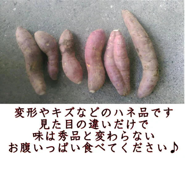 訳あり シルクスイート 箱込5キロ(4.5kg+保証分500g) 蔵出し サイズおまかせ さつまいも 蜜芋 熊本産 送料無料 80サイズ【ご新規さん限定商品】