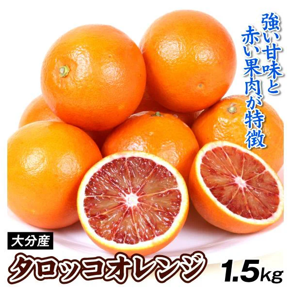 みかん　大分産　タロッコオレンジ　1.5kg　ご家庭用（発送予定：2025年3月中旬より）
