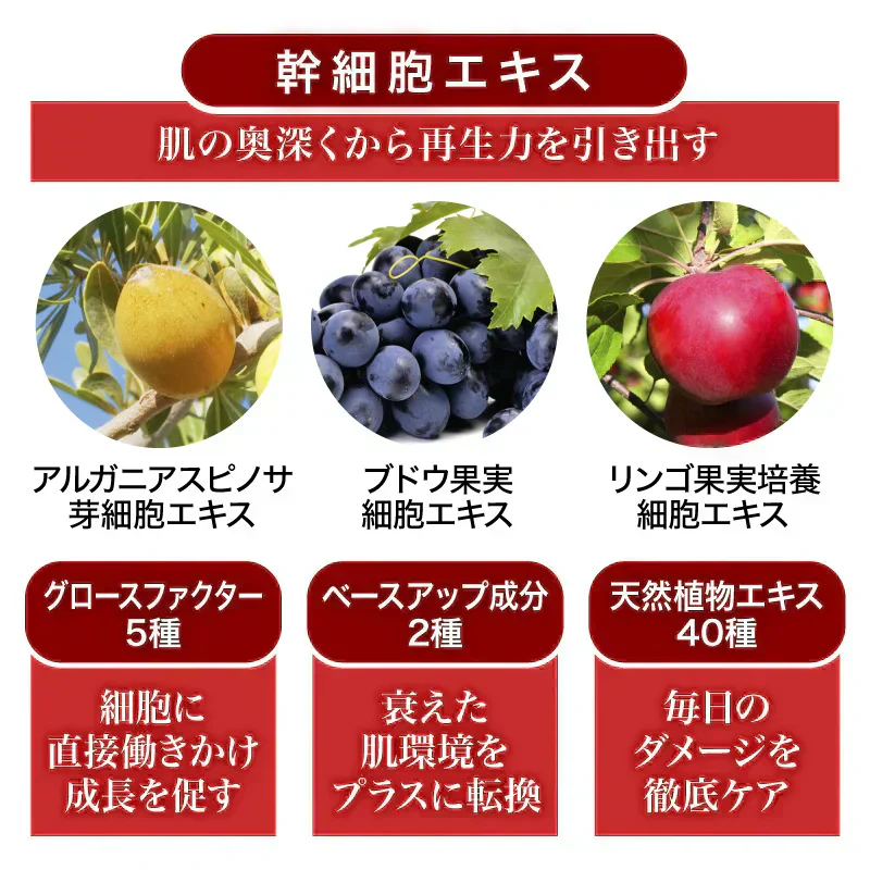 『グランディーリング（単品）』 まつ毛美容液 マツゲ 睫毛 まつ毛 睫毛美容液 伸びる まつエク まつ毛エクステ まつ育 まつ毛ケア まつ毛パーマ 育毛 フサフサ