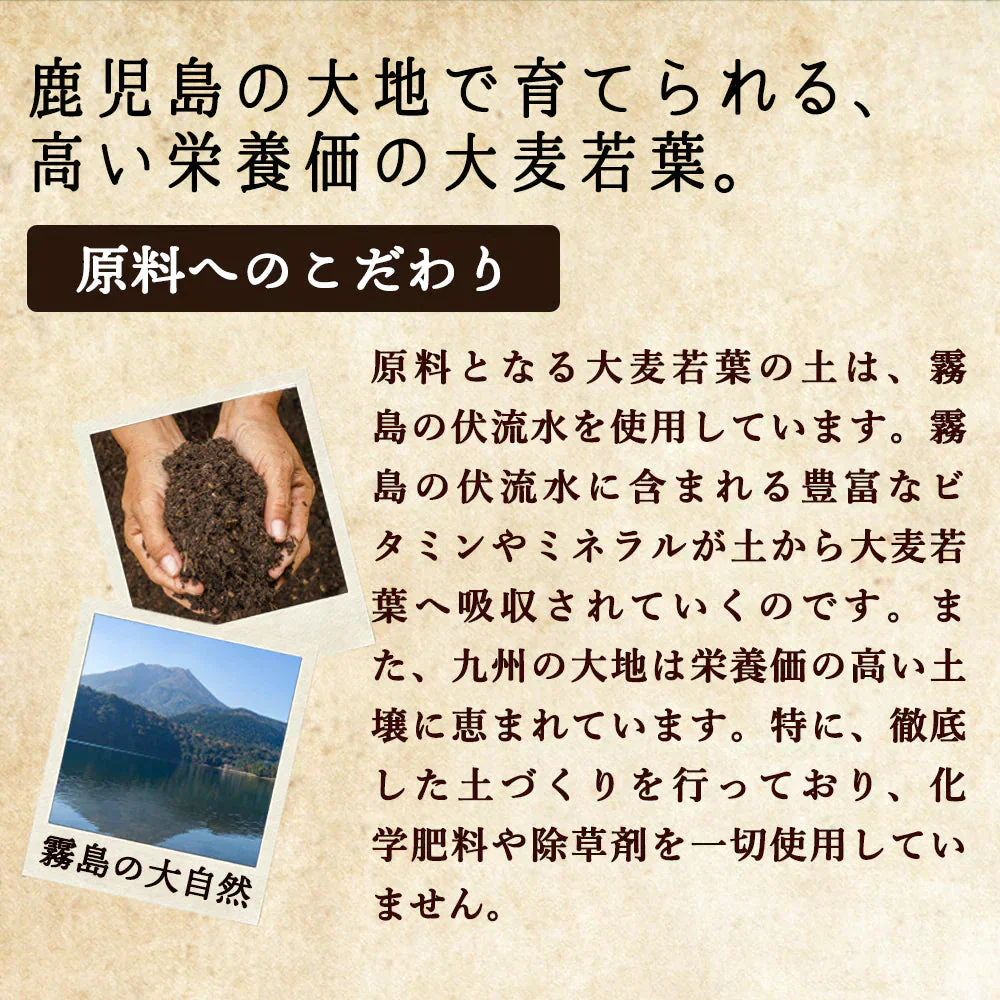 国産 フルーツ青汁 1ヶ月分 90g(3g×30包）[ 青汁 酵素 美容 ダイエット 健康 フルーツ 16種類 の フルーツパウダー と 105種類 の 野菜酵素 無農薬 ] K【ご新規さん限定商品】