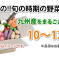 野菜セット 九州産 10～12品目 送料無料 お取り寄せ 80サイズ箱 詰め合わせ 【5～10営業日以内出荷(土日祝日除く)】やさい 産地直送 野菜 季節 旬 トマト きゅうり キャベツ かぼちゃ 小松菜 ほうれん草 人参 じゃがいも 玉ねぎ ごぼう ピーマン