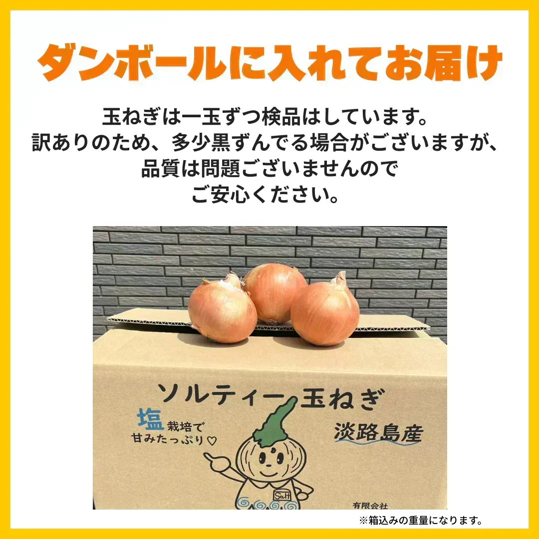 【訳あり】(塩栽培)淡路島産ソルティ玉ねぎ5キロ　美味しいさ甘さグー