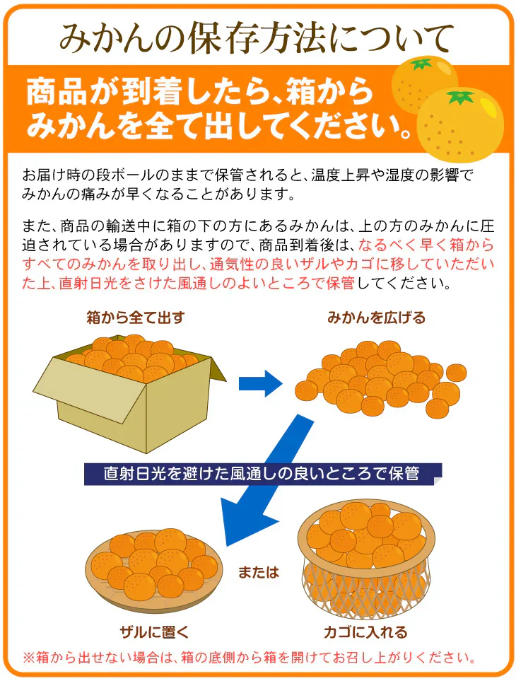 みかん　熊本産　おいしいみかん　1.5kg　サイズおまかせ　ご家庭用（発送予定：11月中旬より）