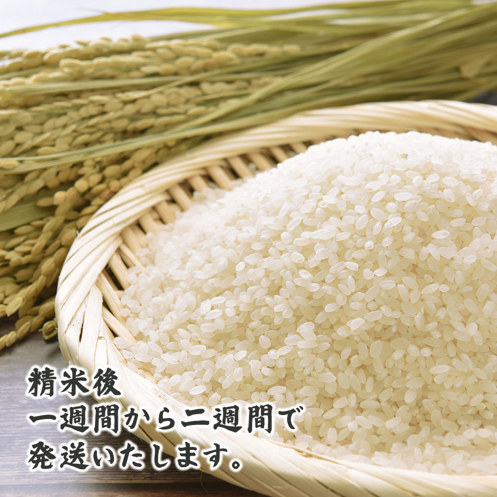 【白米】兵庫県産 キヌヒカリ 90kg(5kg×18袋) 精白米 国産 国産キヌヒカリ100％ 送料無料 精米工場からの直送品