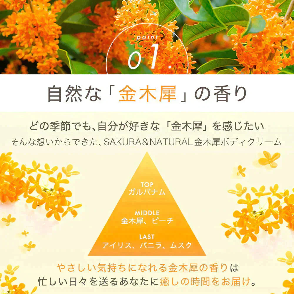 金木犀 ボディクリーム 300ml キンモクセイ きんもくせい ボディー クリーム ハンド マッサージクリーム マッサージ 乾燥 保湿 金木犀の香り 香り 香水 ボデイ オスマンサス 大容量 プレゼント ギフト ハンドクリーム サクラナチュラル