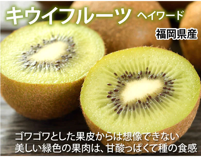 キウイフルーツ ヘイワード 送料無料 約1kg 7～14玉入り 福岡県産 グリーンキウイ フルーツ