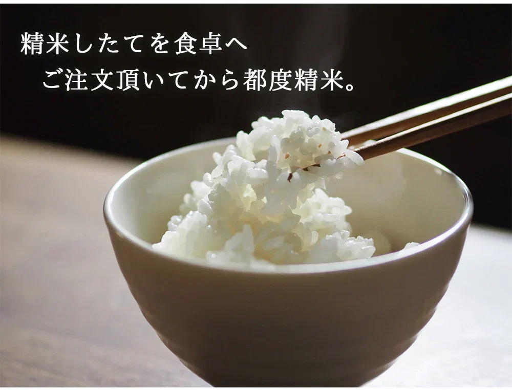 米 2kg 雪若丸 精米 山形県産 送料無料 令和6年産 ギフト 単一原料米 ブランド米 こめ コメ 白米 産地直送 kkb-004